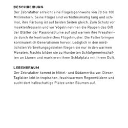 Infotafel