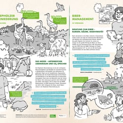 BUND Infografik EFRE (Europäischer Fonds für regionale Entwicklung) > http://www.bund.net/efre