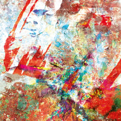 Kardinal fehlt Karneval  |  Cardinal‘s error  |  Carnaval – error cardinal