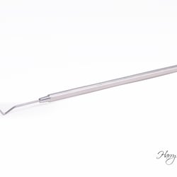 Sonde