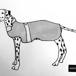 Tag 27: Sie sehen zum Inktober, einen Dalmatiner mit einem Mantel. Auch Hunde 