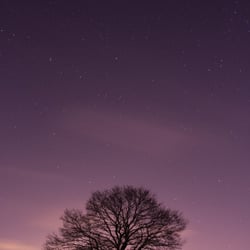 Lonely in a Big Place