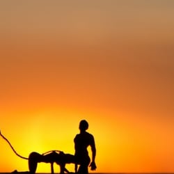 My summer of love – make love not war – the famous sundowner