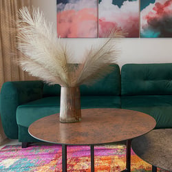 rich-colors-living-room