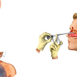 Ilustración científica del cuerpo humano