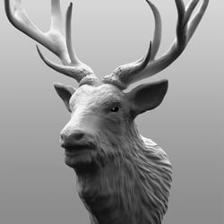 Personal – Deer keyshot