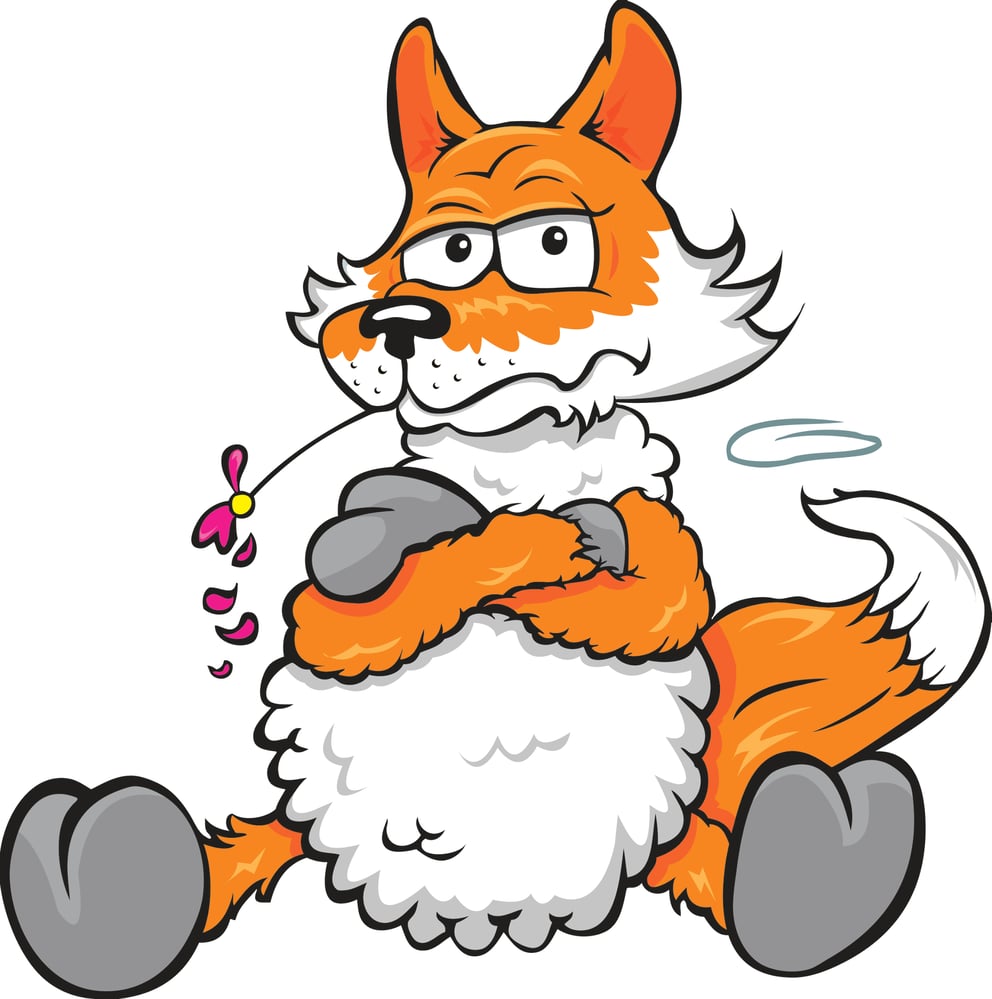 Schfuchs