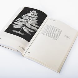 Leafy House Plants Von Benjamin Wurster