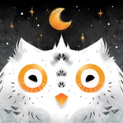 Snowy Owl