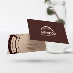 Logo Design & Visitenkarten Gestaltung, Webdesign