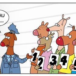 Gegenüberstellung
