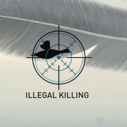 BirdLife Greece