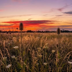 Landschaftsfotografie