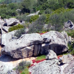 Wildnis