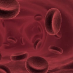 Blood