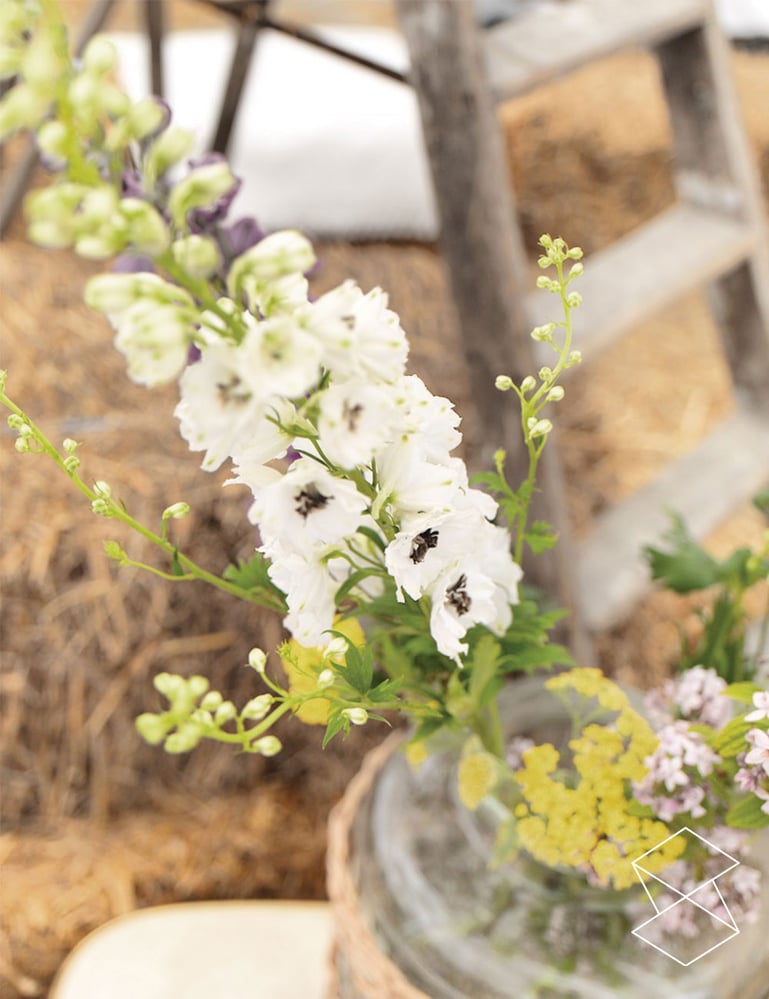 Western Wedding