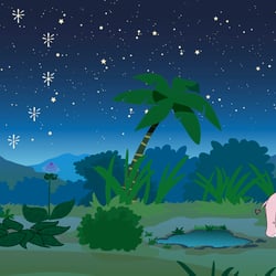 clearing by night