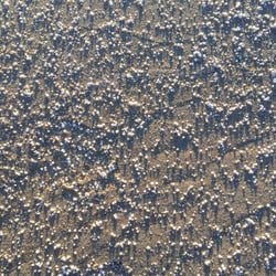IMG Meer2jpg