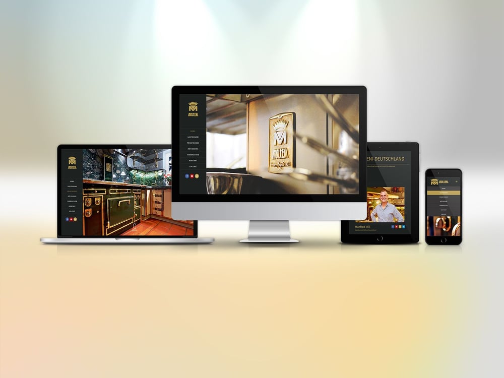 Webdesign Molteni