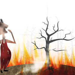 Waldbrand