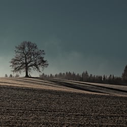 Vormittag im Herbst