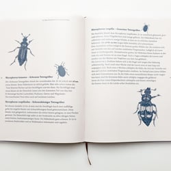Insektenseite