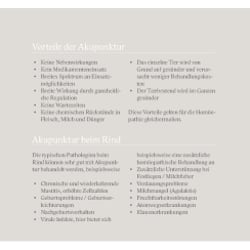 Flyer geöffnet