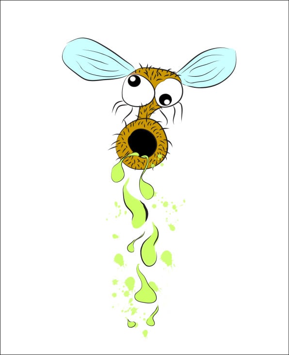 Illustration – Fliege