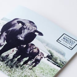 German Wagyu Campus CD