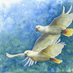 Vibrant Freedom