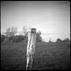 www.pictomanisch.de