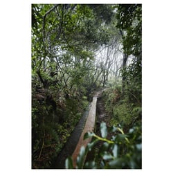 Madeira