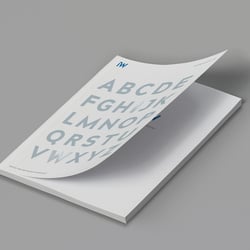 IW-Geschäftsbericht 2017/18