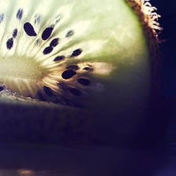 Kiwi