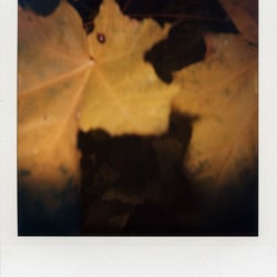Katrin Bahlmann Photography FineArts 13