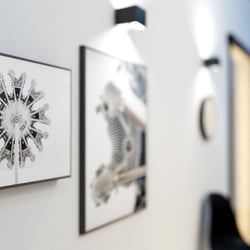 Detail Bild