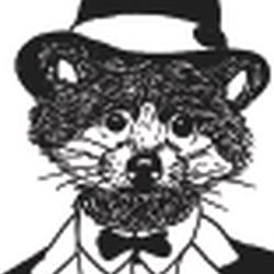 The Racoon Boys