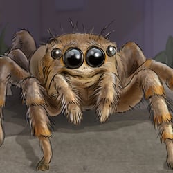 spider-love_hurts_5 drk- animatic-low_art-illustration