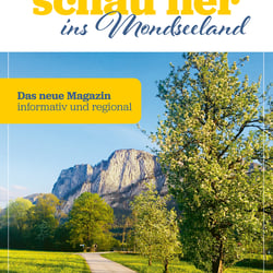 schau her ins Mondseeland
