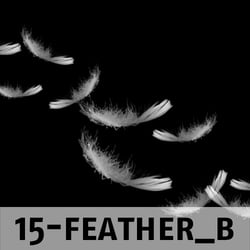 Beispiel für Pinsel-Set: Federn