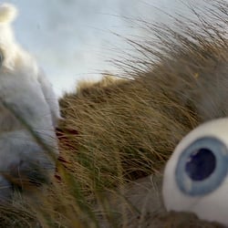 Eyesbär – Kurzfilm_03