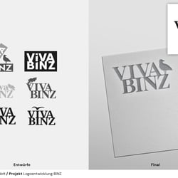 BINZ / Logodesign