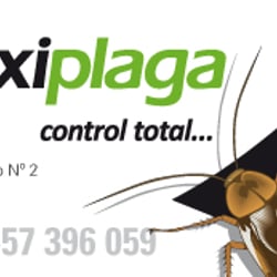 Maxiplaga – Anzeige