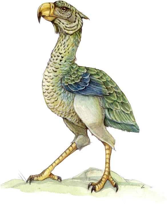 Axebeak