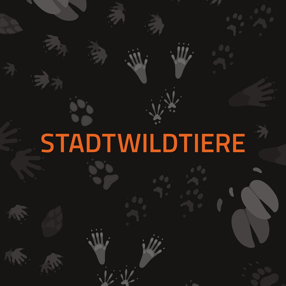 Stadtwildtiere Merchandising
