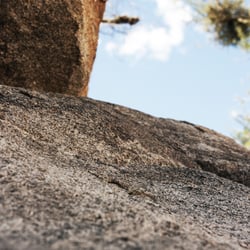 joshua tree park – californien