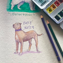 Bully Kutta