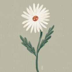 Eine kleine Blume
