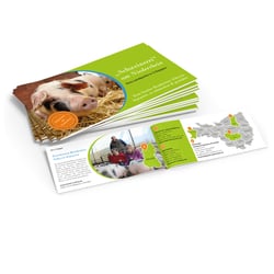flyer-grafikspiegel-bentheimer-schwein