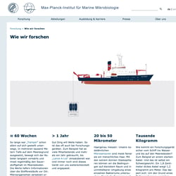 MPIMM / Websitegestaltung
